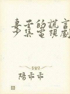 妻子的谎言共多少集电视剧