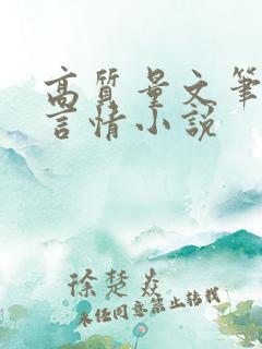 高质量文笔好的言情小说