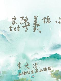 良陈美锦 小说txt下载