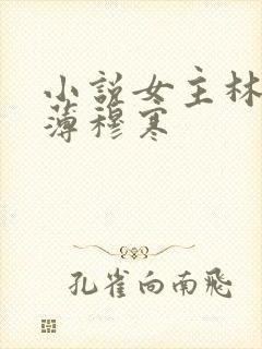 小说女主林恩恩薄穆寒