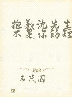 抱歉沈先生孩子不是你的短剧在线免费观看