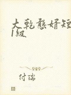 大乾憨婿短剧11级