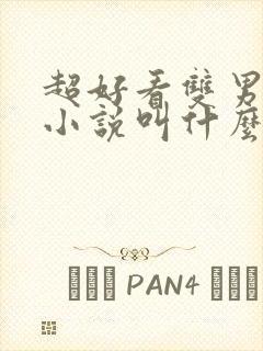 超好看双男主的小说叫什么