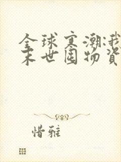 全球寒潮:我在末世囤物资