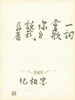 《说你会一直爱着我》歌词