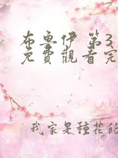 布鲁伊 第3季免费观看完整版高清