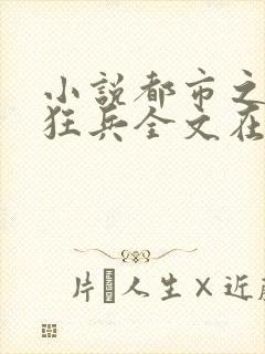 小说都市之最强狂兵全文在线阅读