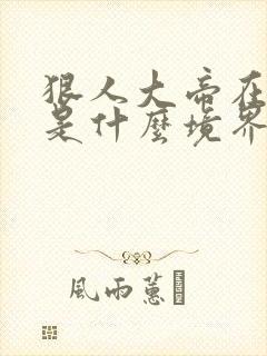 狠人大帝在遮天是什么境界