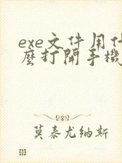 exe文件用什么打开手机