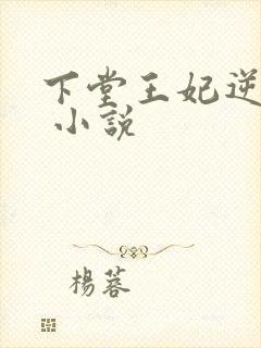 下堂王妃逆袭记 小说