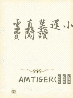 云真慕迟小说免费阅读