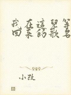 我在这儿等着你回来的歌名叫什么