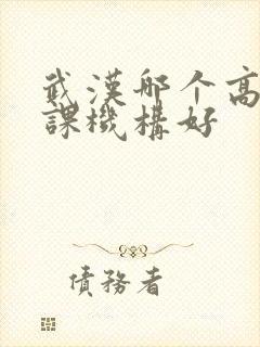 武汉哪个高中补课机构好