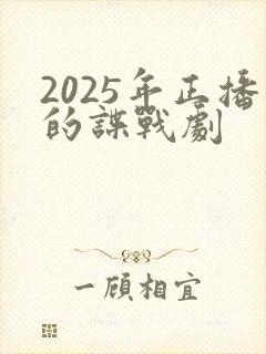 2025年正播的谍战剧