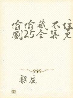 偷偷藏不住电视剧25全集免费观看