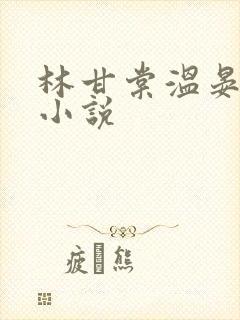 林甘棠温晏清的小说