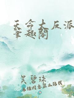 天命大反派小说笔趣阁