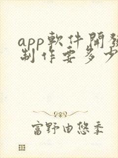 app软件开发制作要多少钱