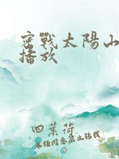 密战太阳山全集播放