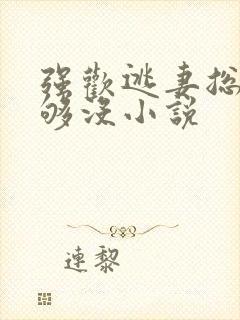 强欢逃妻总裁要够没小说