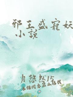 邪王盛宠妖孽妃 小说