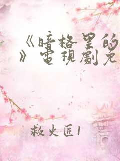 《暗格里的秘密》电视剧免费