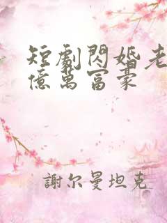 短剧闪婚老公是亿万富豪