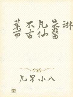 叶不凡朱琳琳都市古仙医