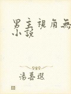 男主视角无cp小说