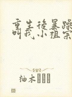 重生后暴躁大佬叫我小祖宗 小说在线