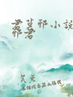 君莫邪小说异世邪君