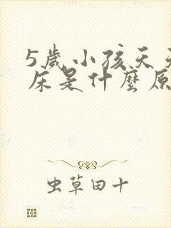 5岁小孩天天尿床是什么原因