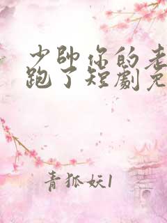 少帅你的老婆又跑了短剧免费观看