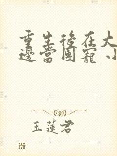 重生后在大佬身边当团宠 小说