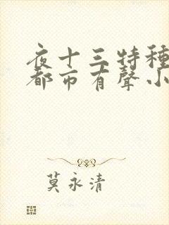 夜十三特种兵在都市有声小说