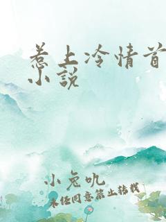 惹上冷情首席 小说