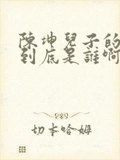 陈坤儿子的妈妈到底是谁啊