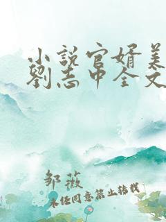 小说官婿美人香刘志中全文免费阅读