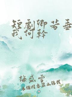 短剧卿若垂泪与我何干