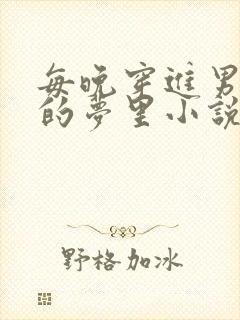 每晚穿进男神们的梦里小说叶芝琴