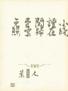 免费阅读小说曾照云归在线阅读全文