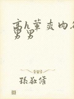 高h荤爽肉欲文男男