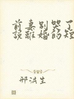 前妻别哭了是你说离婚的短剧下集