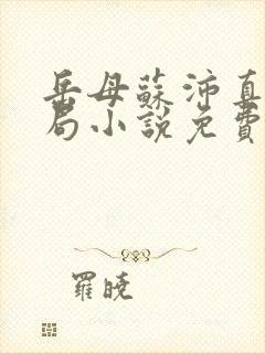 岳母苏沛真大结局小说免费阅读全文无弹窗