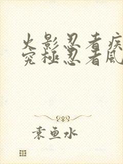 火影忍者疾风传究极忍者风暴下载