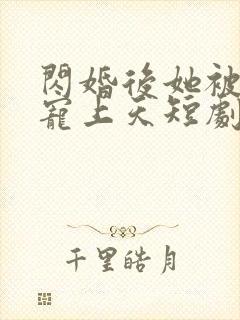 闪婚后她被顾总宠上天短剧全集在线观看