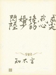 闪婚后,我成了陆少的心尖宠