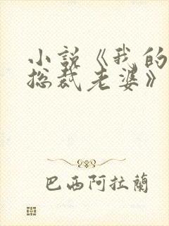 小说《我的冷艳总裁老婆》