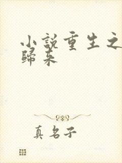 小说重生之女王归来