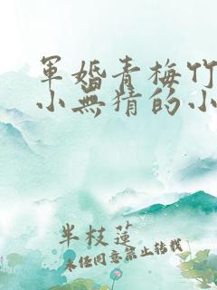 军婚青梅竹马两小无猜的小说